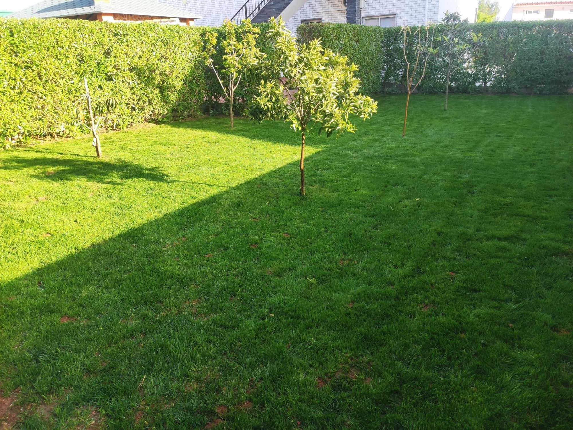Apartament Casa Radu Mexilhoeira Grande Zewnętrze zdjęcie